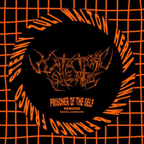 Katatonic Silenio - Waiting For The Dust To Settle (ZULI Remix)